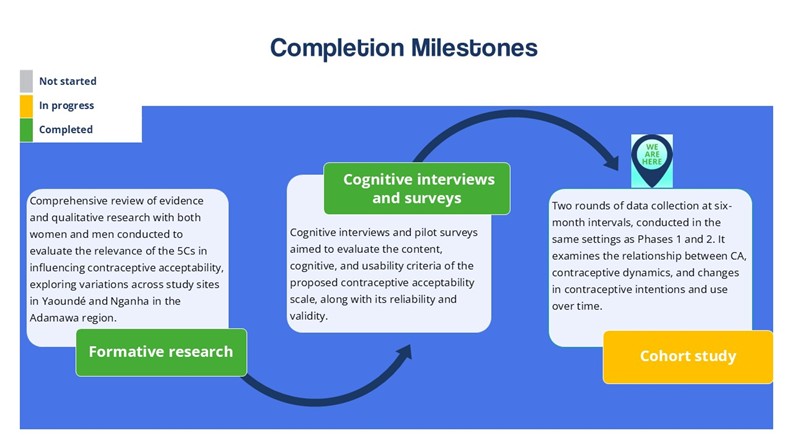 Overall study progress